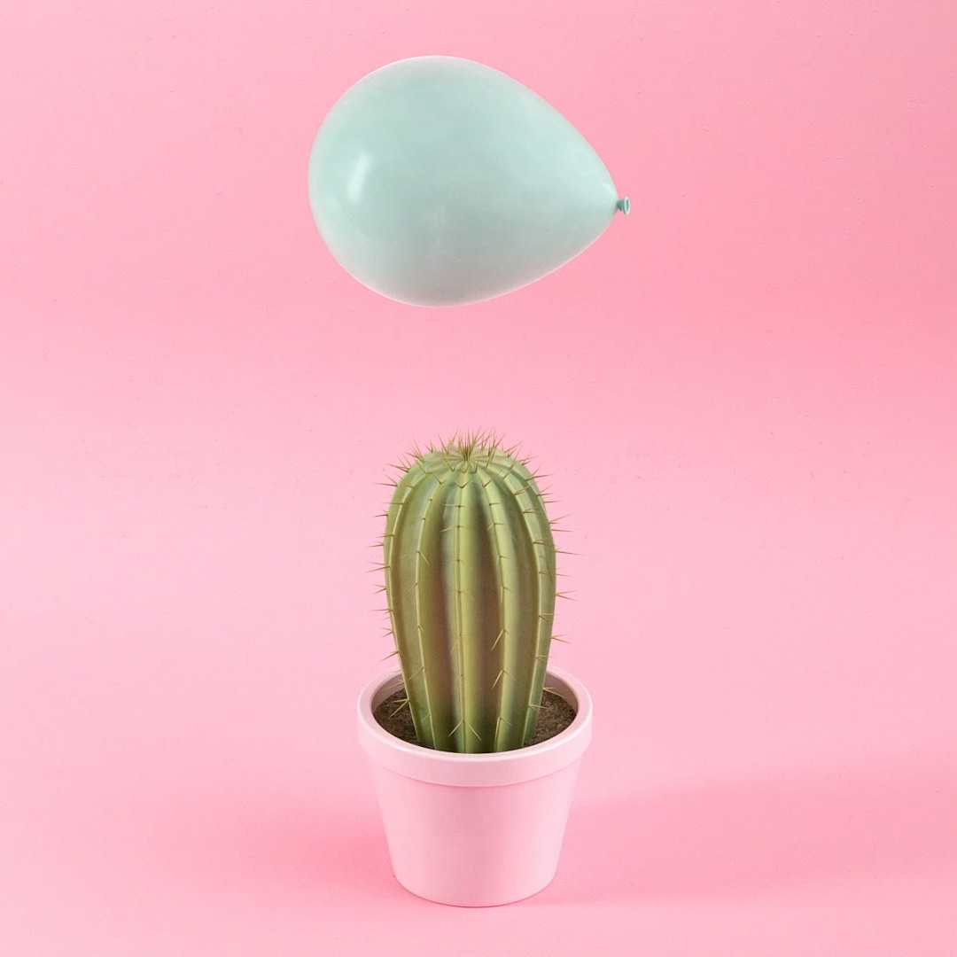 Preposterous-Tuborg-Cactus-Square